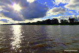 Brown water, green foliage and blue sky