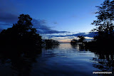 Evening falls on the amazon.  The sounds rise in volume.