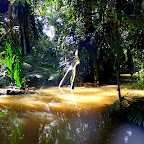 The mysterious Amazon river