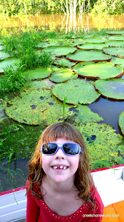 Mini Lily and Giant Lilypads