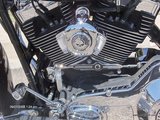Harley+horn+cover