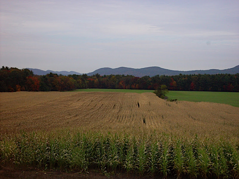View of Holyoke Range in W. Mass.
