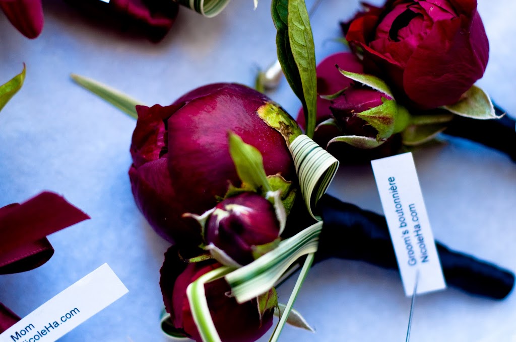 Flowers by Nicole Ha photo 1