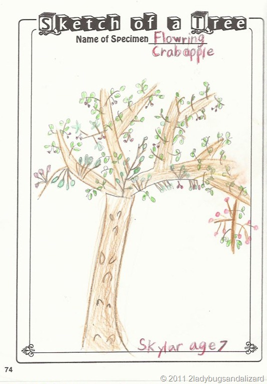[tree sketch[10].jpg]