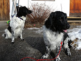 Freja och Bill!