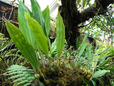 RIMG0292.JPG