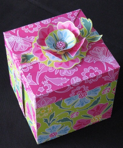 [2011 02 11 LRoberts Cupcake Box Green[8].jpg]