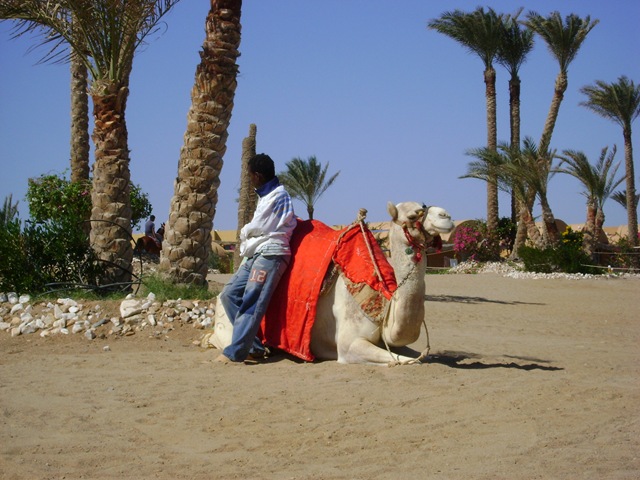 [Egypten 2009 025[3].jpg]