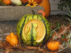 10.31.2009 Pumpkin Carving (35)