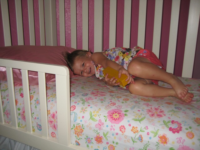 [7.28.2010 Toddler Bed (4)[2].jpg]