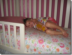 7.28.2010 Toddler Bed (4)
