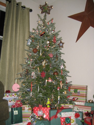 [12.25.2010 CHRISTMAS 023[3].jpg]