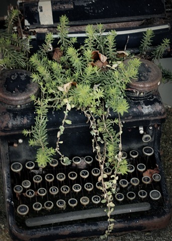 [typewriter[2].jpg]