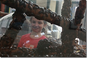 IMG_2549 IMG_2549