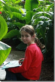 IMG_2567 IMG_2567