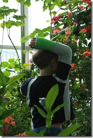 IMG_2568 IMG_2568