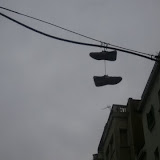 P1010013.JPG