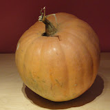 DSC00530.JPG