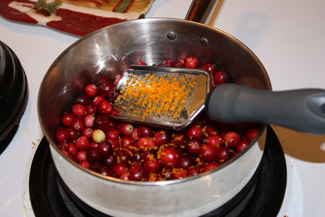 [Thanksgiving 2009 025[4].jpg]