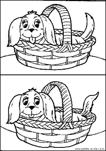 [perro-dif.gif[2].jpg]