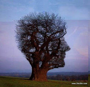 دیدنی های امروز دیدنی های امروز