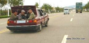 رانندگان دیوانه وار 