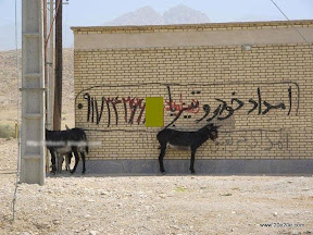 عکس امداد خودرو تیزپا