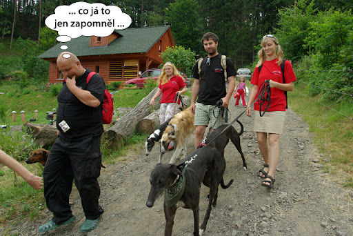Obrázek