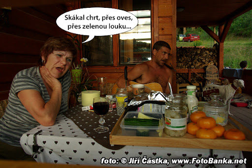 Obrázek