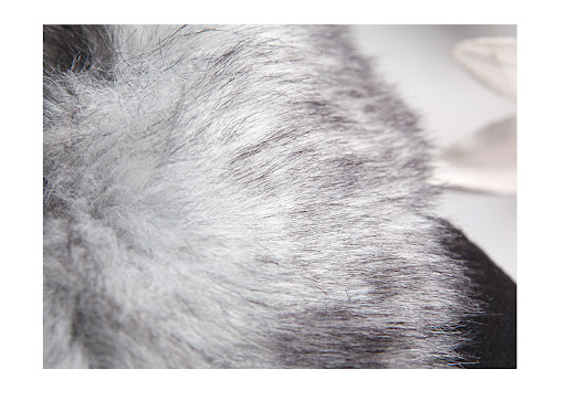 1561-黑_03.jpg (740&times;525)