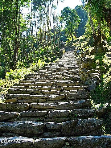 [The climb[9].jpg]