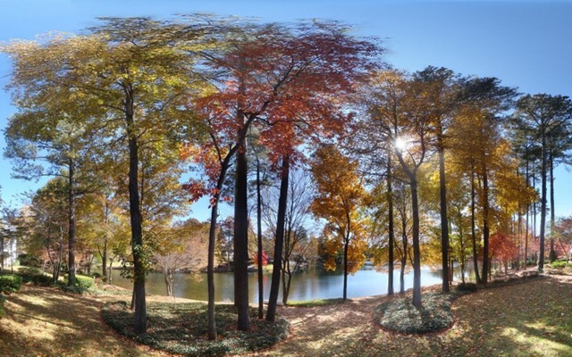 [fall 2008 pano lake2[2].jpg]