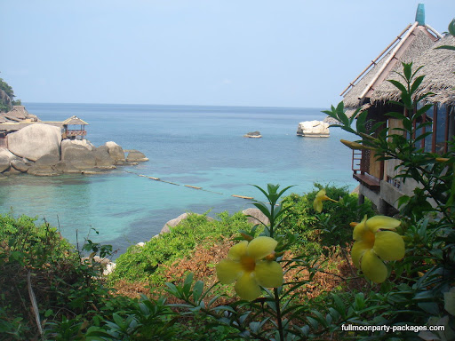 KOH の掲示板投稿写真＆画像