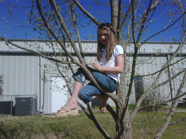[Liv in a tree[1].png]