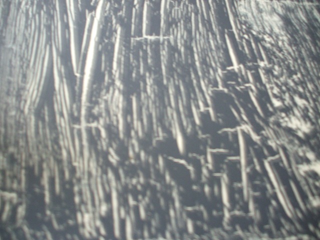 [DSCF20842.jpg]
