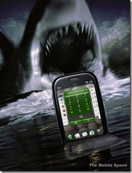 PalmSharks