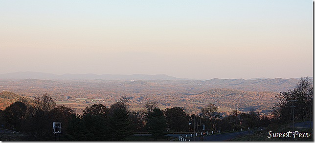 IMG_3617 IMG_3617