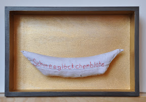 deckblatt serie "boote"