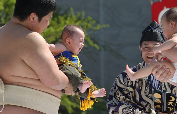 naki-sumo (16) naki-sumo (16)