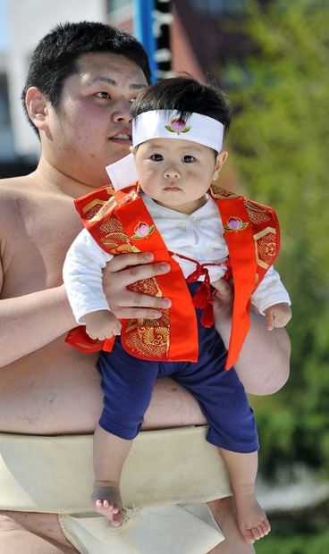 naki-sumo (19) naki-sumo (19)