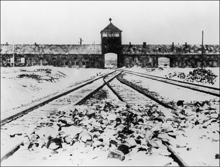 Auschwitz (30)