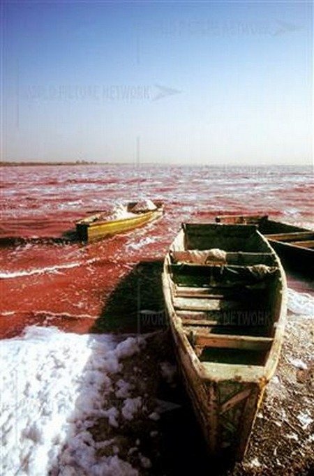 pink-lake-retba (15) pink-lake-retba (15)