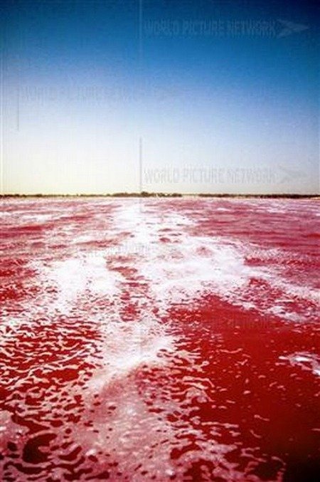 pink-lake-retba (3) pink-lake-retba (3)