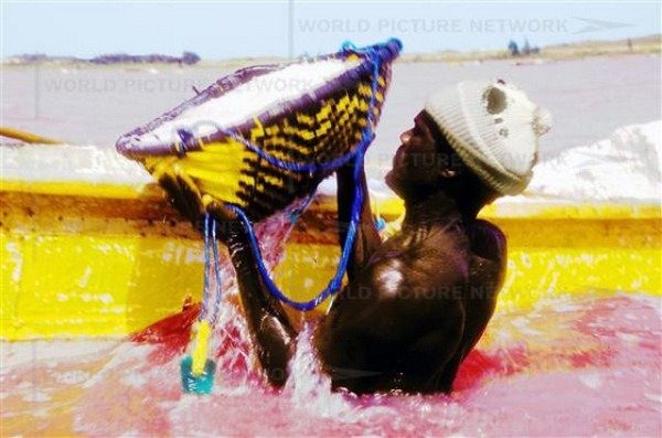 pink-lake-retba (5) pink-lake-retba (5)