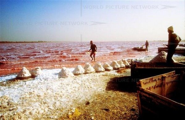 pink-lake-retba (10) pink-lake-retba (10)