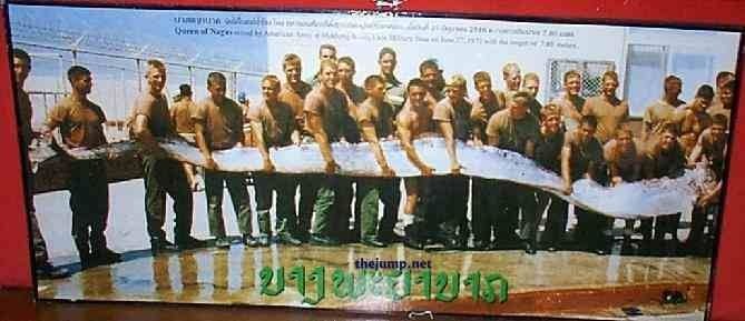 oarfish (3) oarfish (3)