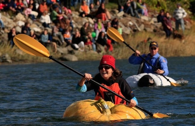 pumpkin-regatta (8) pumpkin-regatta (8)