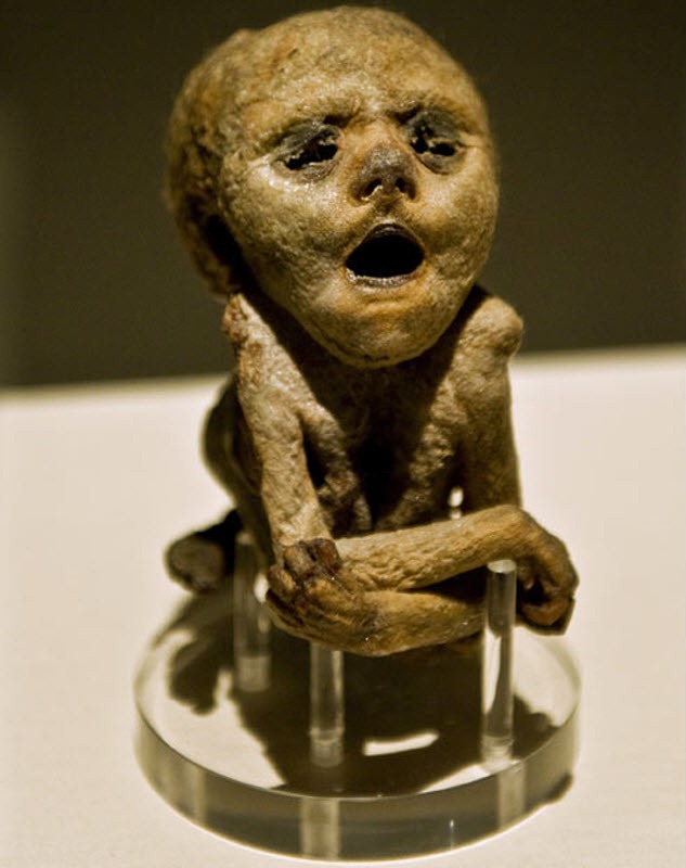 mummies (4) mummies (4)