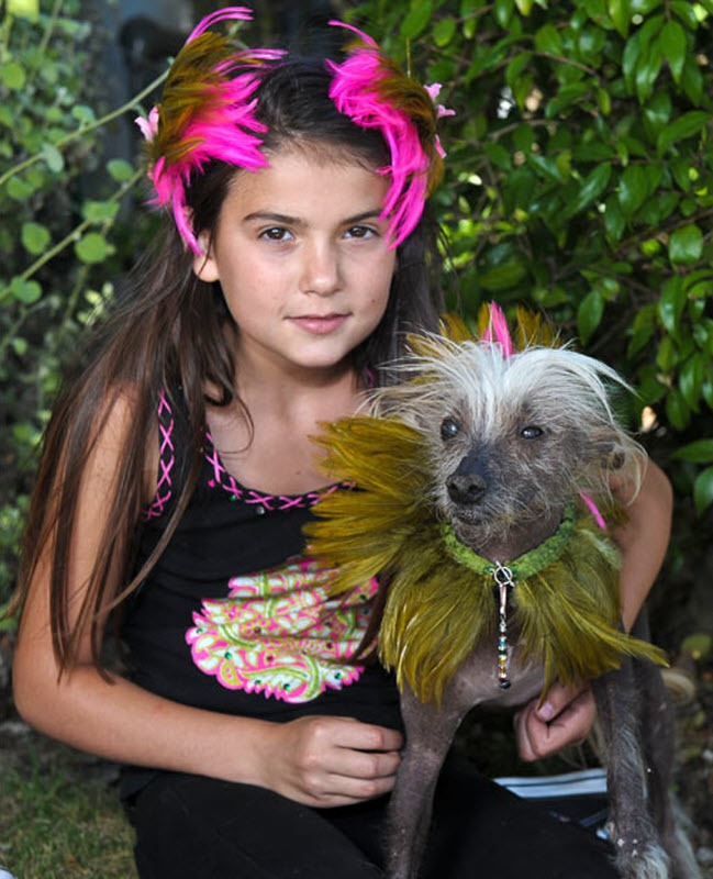 ugliest-dog (8) ugliest-dog (8)