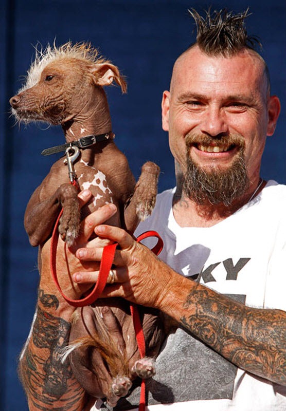 ugliest-dog (10) ugliest-dog (10)